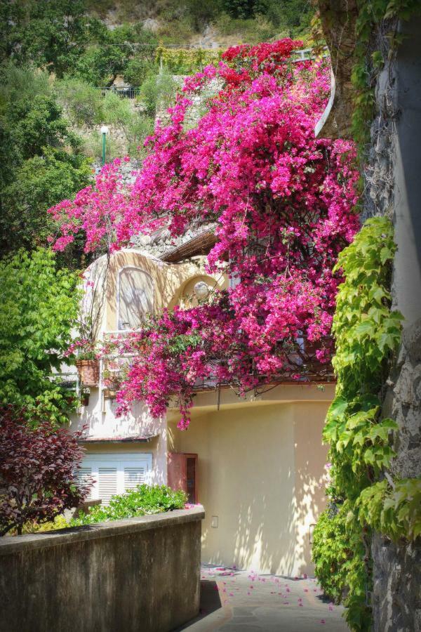 Positano Holidays מראה חיצוני תמונה