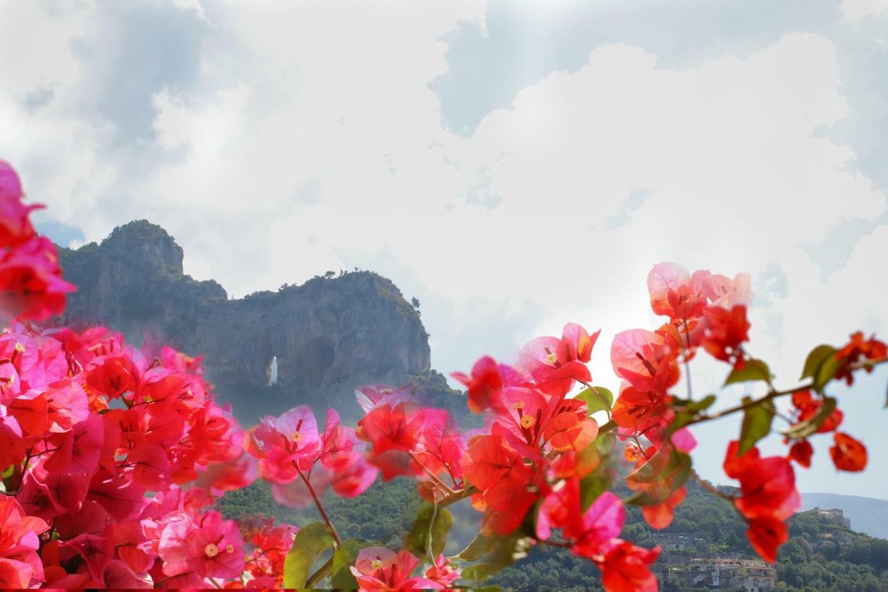 Positano Holidays מראה חיצוני תמונה